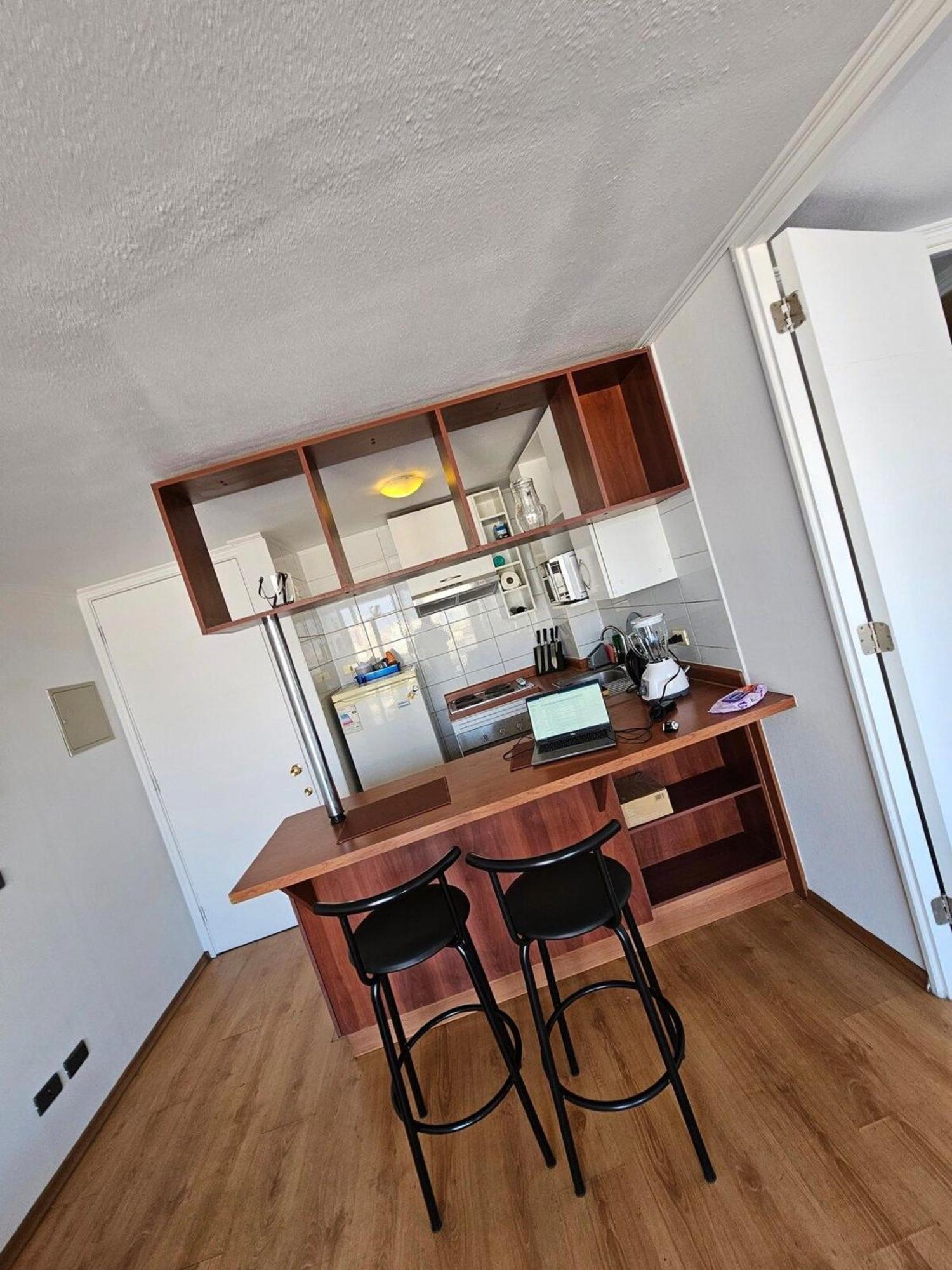 Bellavista Apartrent Santiago du Chili Extérieur photo
