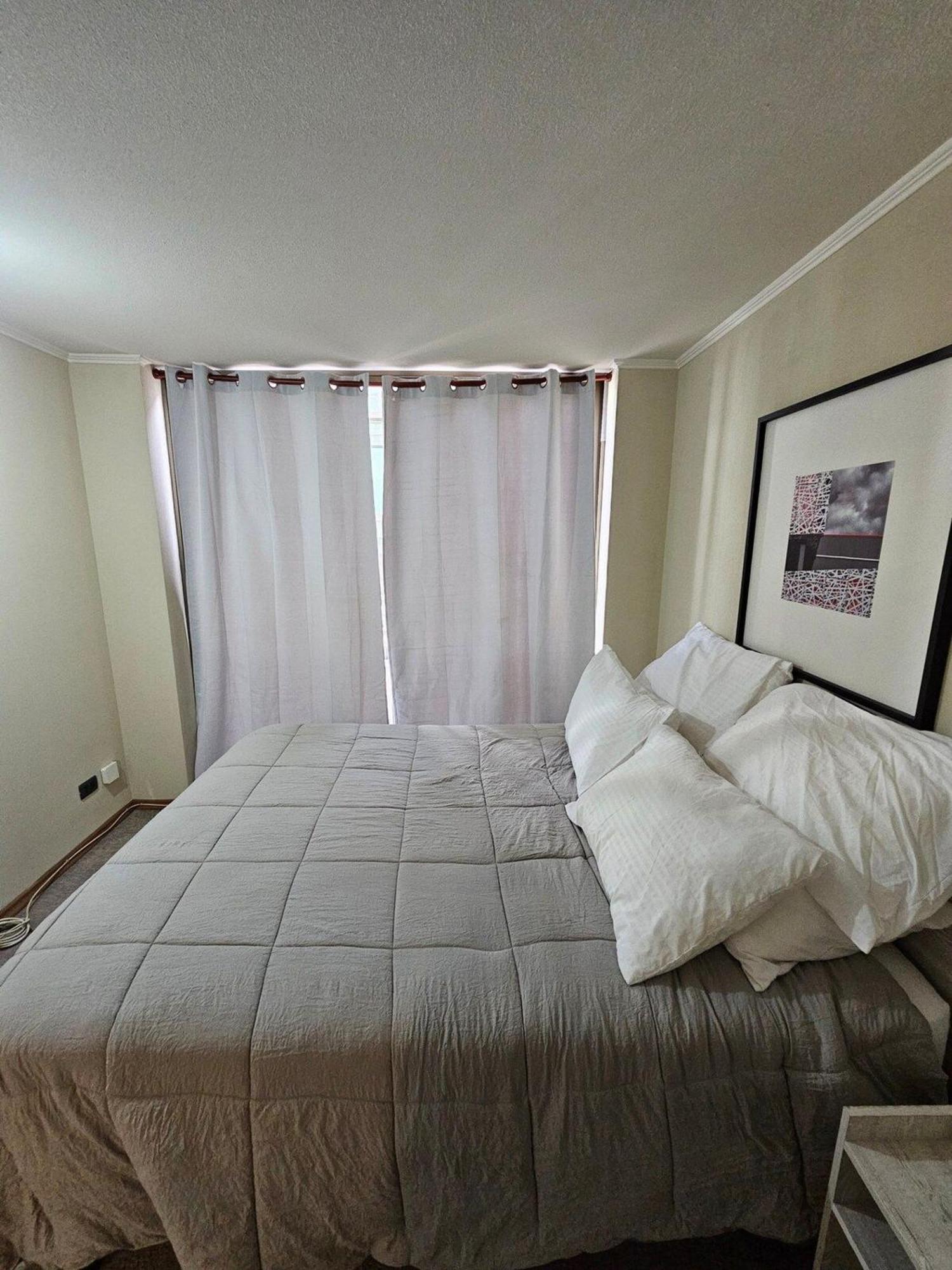 Bellavista Apartrent Santiago du Chili Extérieur photo