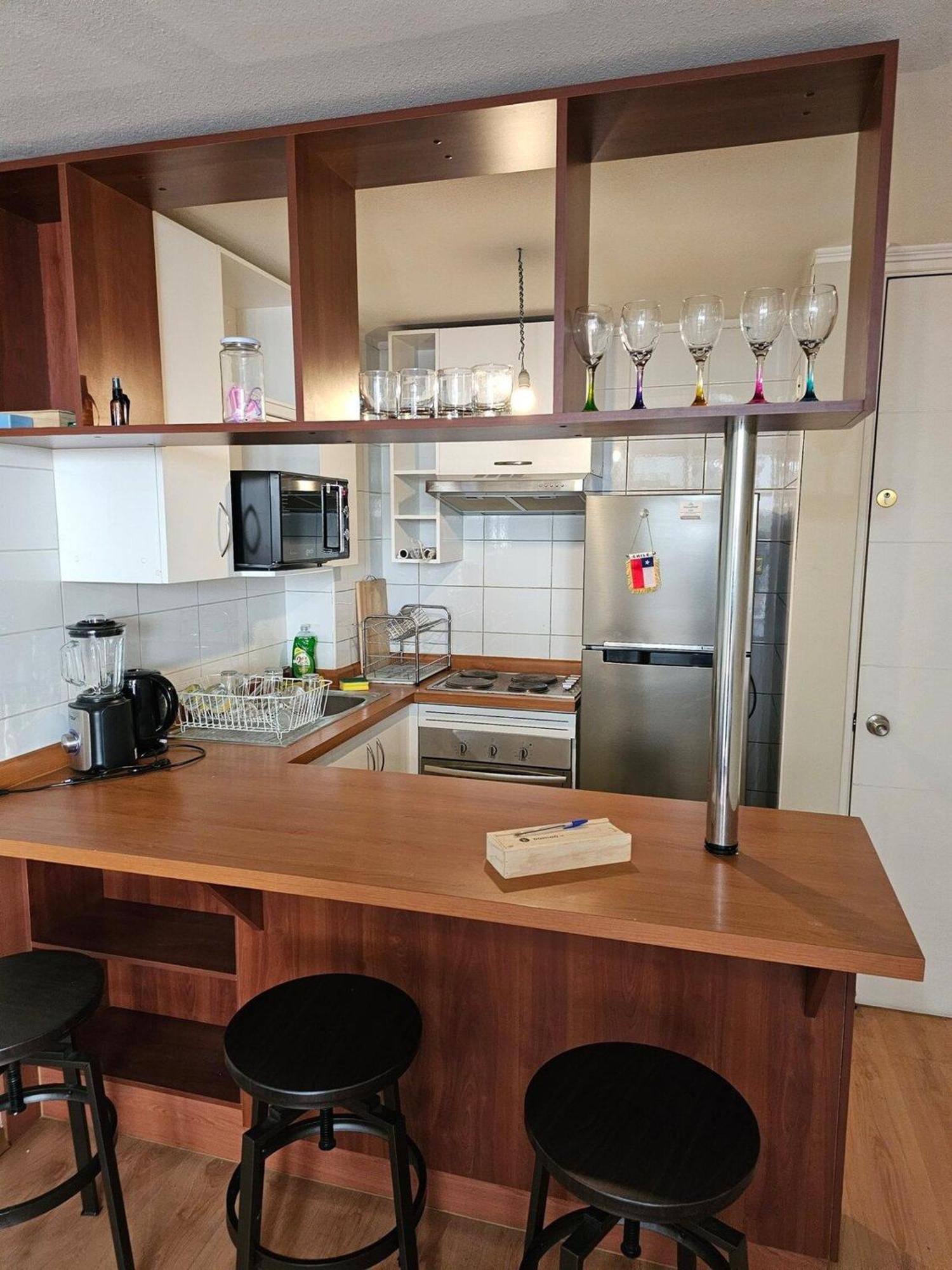 Bellavista Apartrent Santiago du Chili Extérieur photo