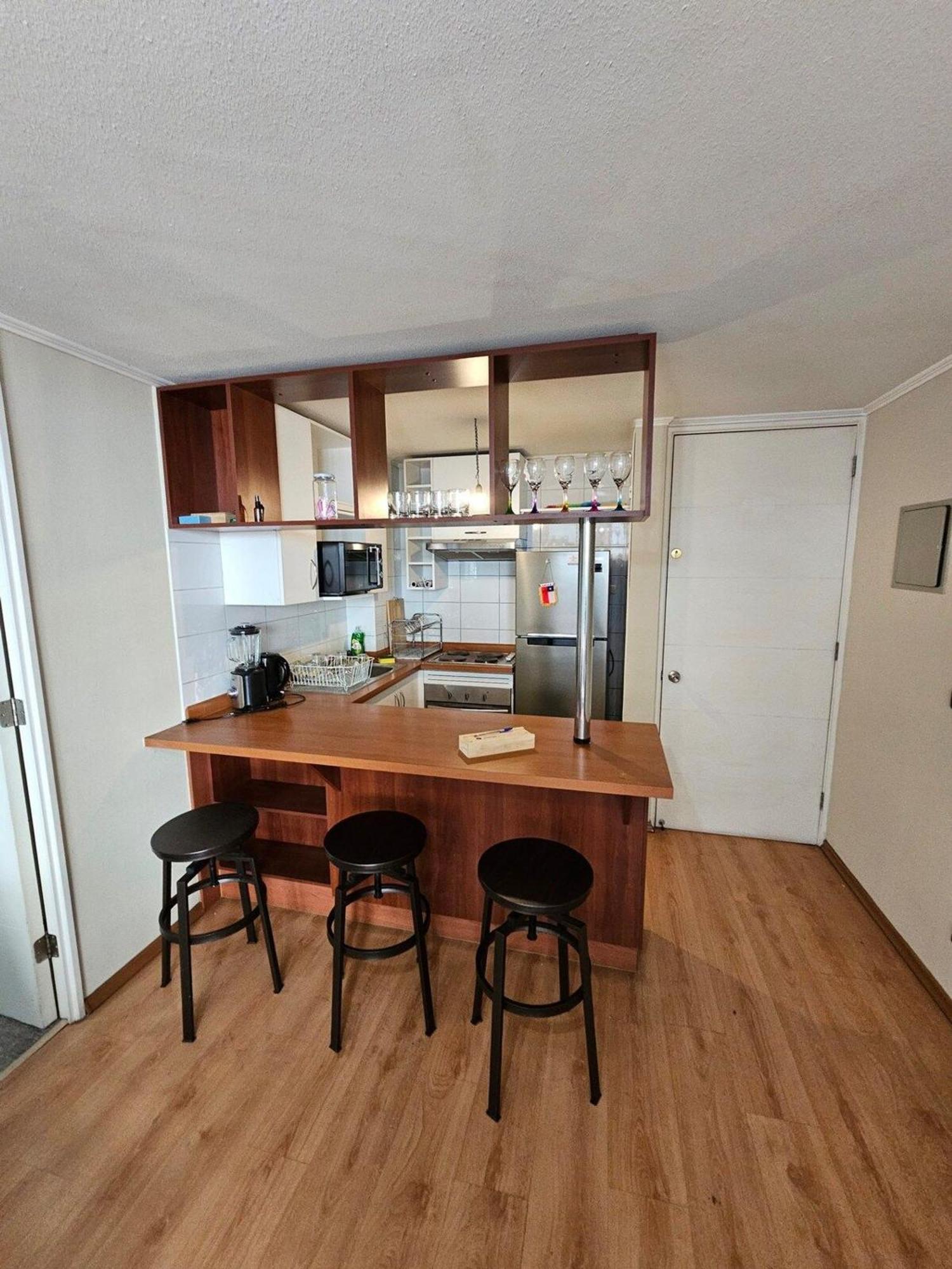 Bellavista Apartrent Santiago du Chili Extérieur photo