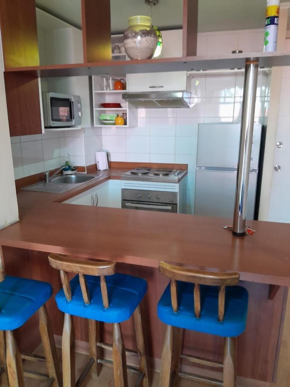 Bellavista Apartrent Santiago du Chili Extérieur photo